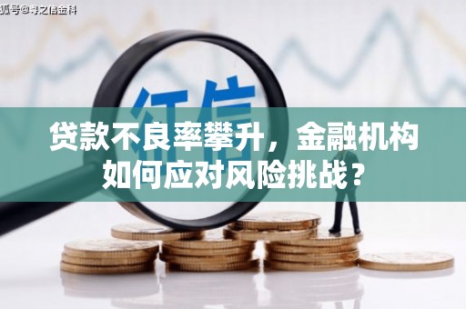 日土贷款不良率攀升，金融机构如何应对风险挑战？