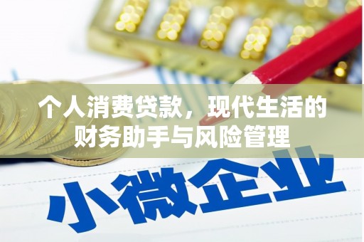 日土个人消费贷款，现代生活的财务助手与风险管理