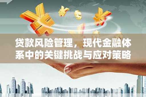 日土贷款风险管理，现代金融体系中的关键挑战与应对策略