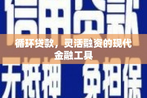 日土循环贷款，灵活融资的现代金融工具
