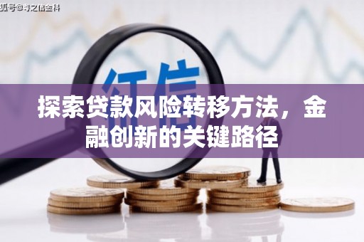 日土探索贷款风险转移方法，金融创新的关键路径