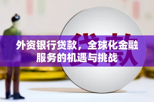 日土外资银行贷款，全球化金融服务的机遇与挑战