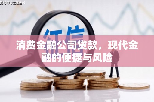 日土消费金融公司贷款，现代金融的便捷与风险