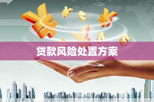 日土贷款风险处置方案