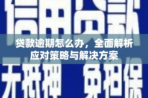 日土贷款逾期怎么办，全面解析应对策略与解决方案