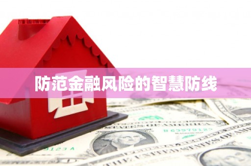 日土防范金融风险的智慧防线