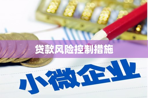 日土贷款风险控制措施