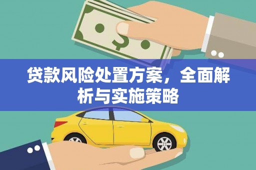 日土贷款风险处置方案，全面解析与实施策略