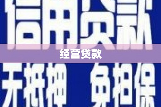 日土经营贷款